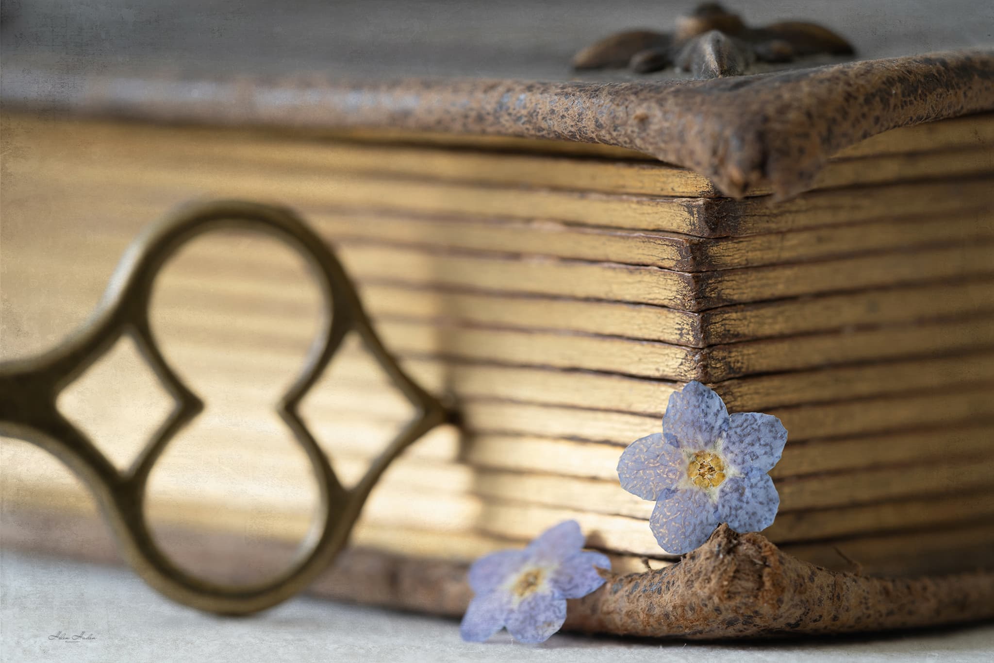 A brass skeleton key resting before a stack of aged books with gilded edges, two small forget-me-not flowers tucked against the spine